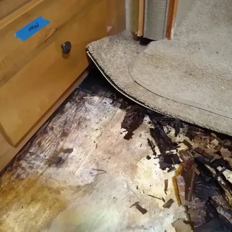 Wood Floor Water Damage in Greensboro, AL